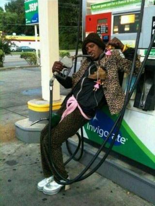 Ward's Random Picture Dump