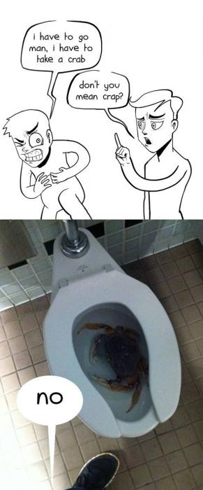 Ward's Random Picture Dump