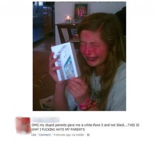 Ward's Random Picture Dump