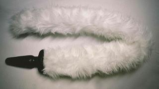 Crazy things you can buy on Amazon