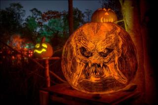 Amazing Pumpkin Carvings