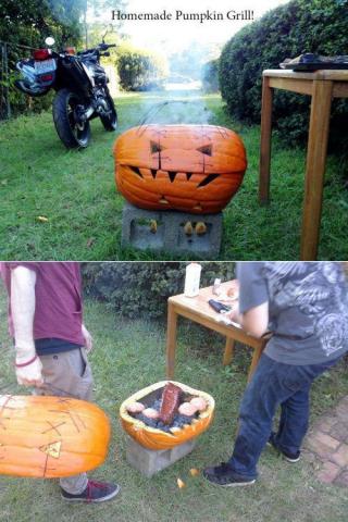 McFly's Daily Photo Flop