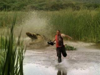 McFly's Daily Photo Flop