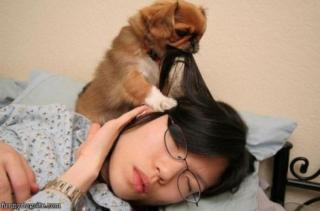 21 Ways That Dogs Show You They Love You