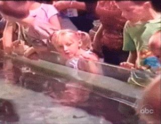 Animals being JERKS!