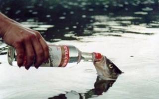 24 Absolutely Crazy And Ridiculous U.S. State Laws!