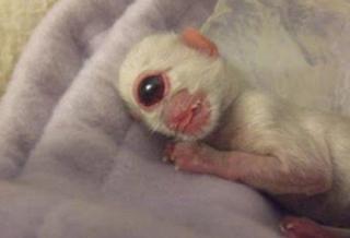 24 Freaks of Nature!