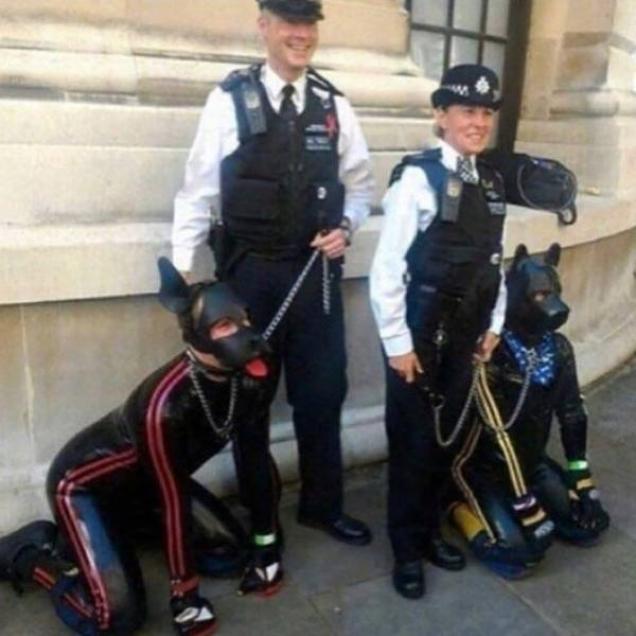 47 Wild,Wacky Web Finds Full Of Wtf