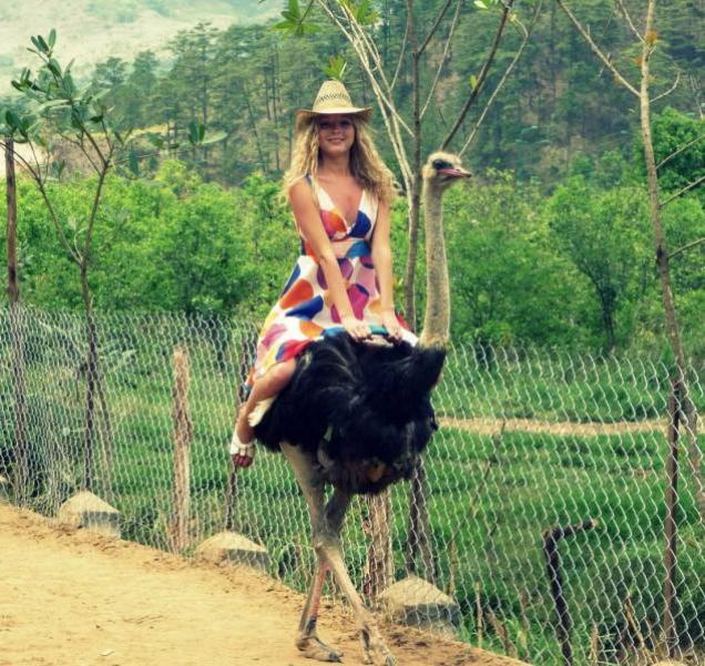 60 Fun Randoms to Spice up the Day