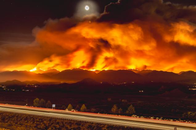 Amazing Forest Fire Images