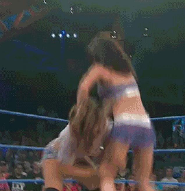 Mickie James Fake