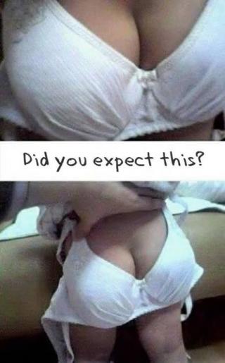 14 Examples Of Funny Photo Cropping