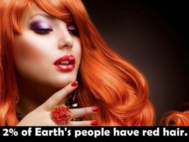 24 Insane facts you may not believe