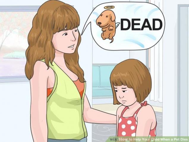 26 Pictures From WikiHow That Are Just Crazy Out of Context