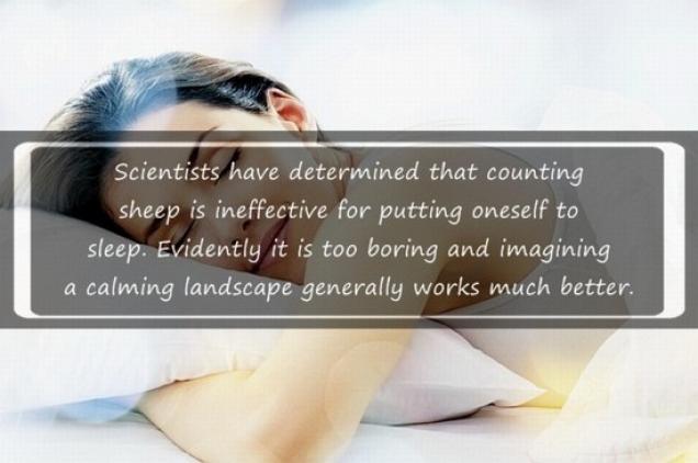 16 Interesting facts about sleep that -