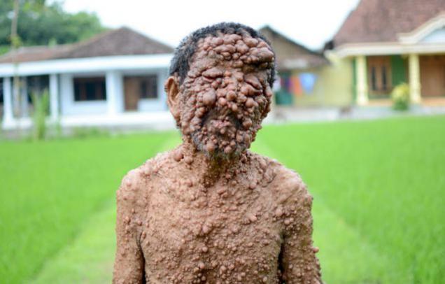 50 Sure Fire Photos To Make Your Week!