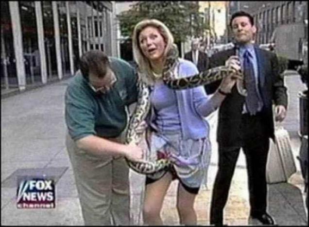 36 Funniest TV Freeze Frames Ever