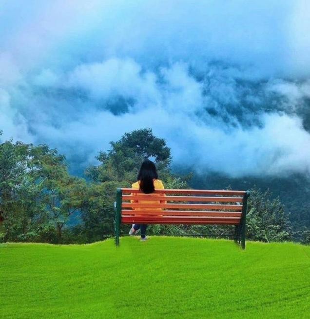 36 Awesome Fun Photos To Make You Smile!