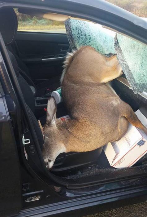 35 Awesome Pics For Your Viewing Pleasure