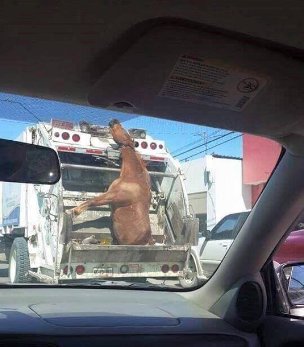 36 Awesome Pics For Your Viewing Pleasure