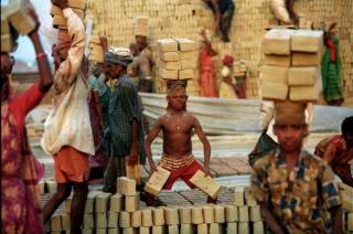 The Weird World Of WTF?