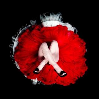 WSDMC's Ultimate Up Skirt Ballerina Gallery