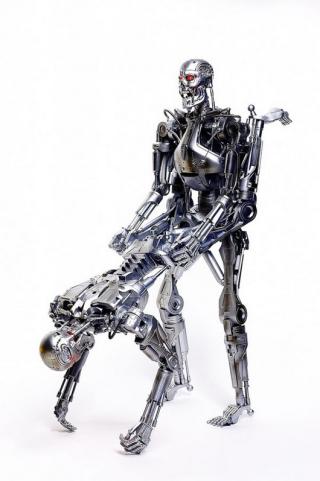 Terminator Kama Sutra