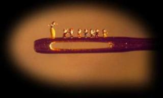 WTF Needle Eye Sculptures