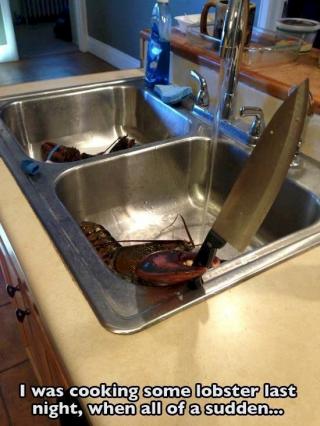 16 People That Should Not Be Allowed In The Kitchen