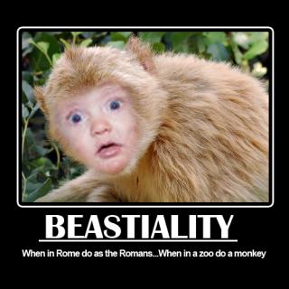 Beastiality at its best - Picture | eBaum’s World