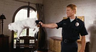 Captain's GIF collection 11