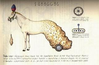 WTF? Really weird book...