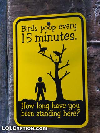 Funny Sign Collection