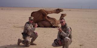 For Mature Audiences Only