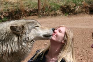 These 18 Kissing Animals Will Brighten Your Day
