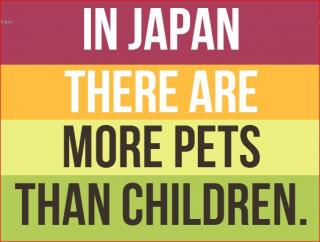 20 Interesting Facts About Japan