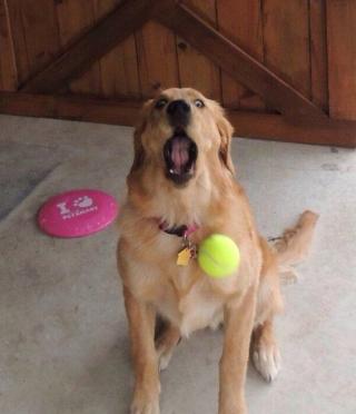 20 Perfectly Timed Photos