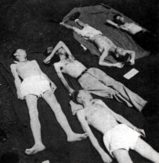 Minesota Starvation Experiment