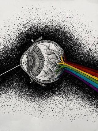 Dantes Wings Gifs n Things