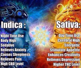 Dantes Wings Gifs n Things