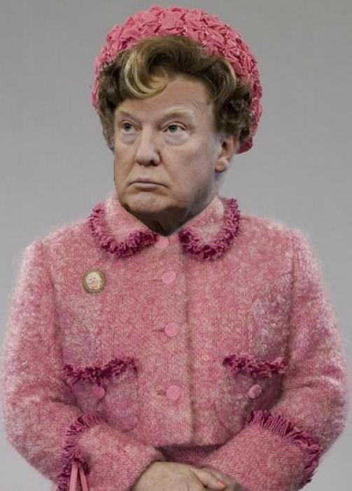 Dante's Wings Gifs n Things #341