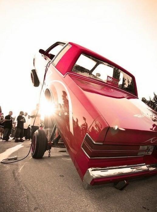 Dante's Wings Gifs n Things #430