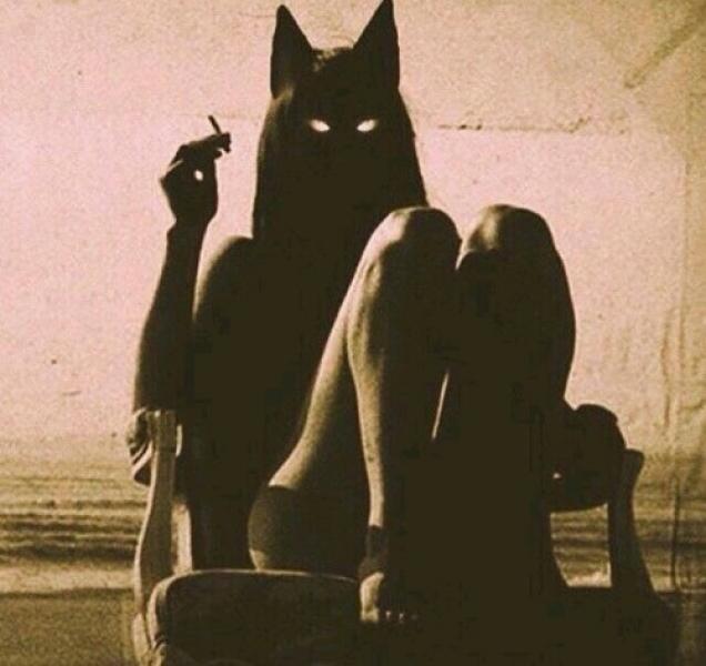 Dante's Wings Gifs n Things #578