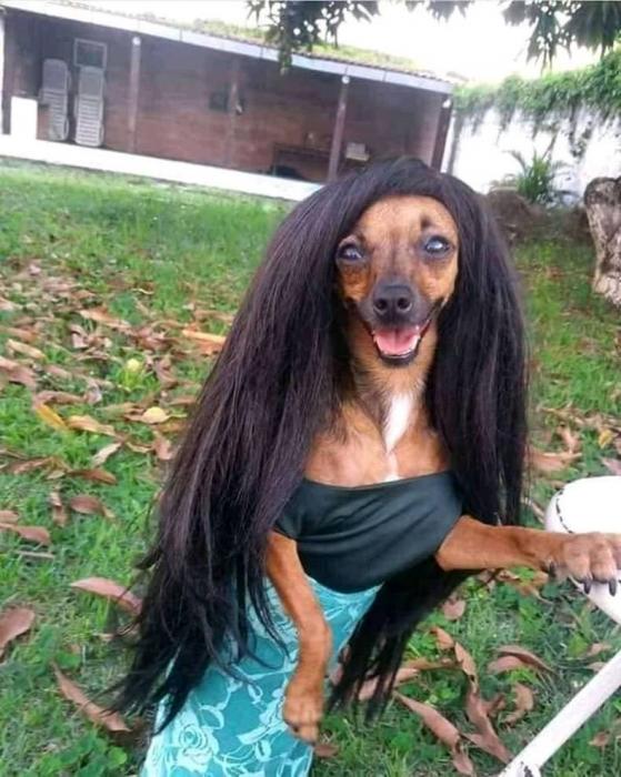 32 Pics With Absolutely No Theme Or Relevance Intended