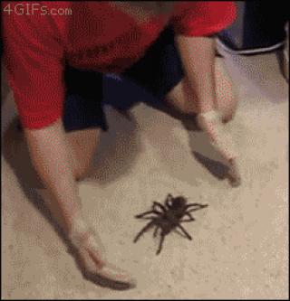 20 Best Nope GIFs You Will Ever See