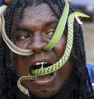 Weird WTF People Eating Snakes - Gallery | EBaum's World