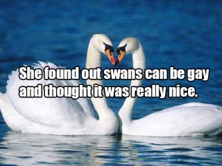 Guy Writes Down Why His Wife Cries