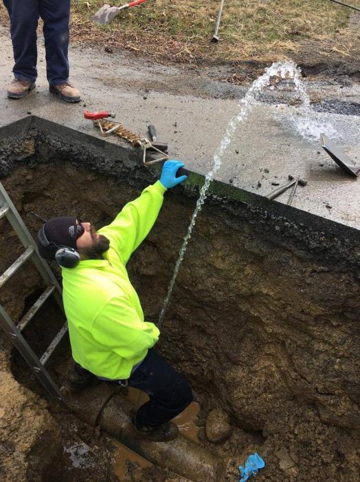 The Amusing Picture Collective