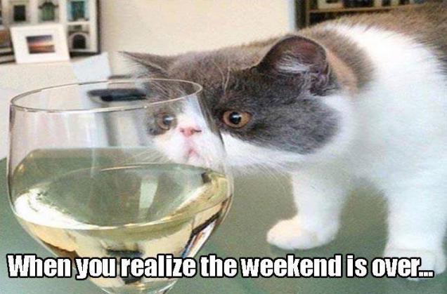 Ugh, Monday work sucks