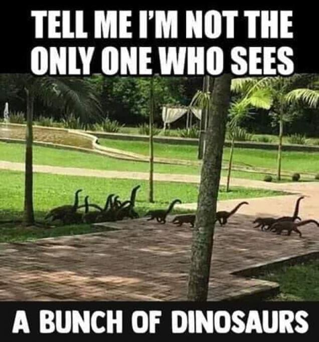 Friday's Funny Files